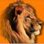 http://www.lionotel.com